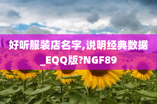 好听服装店名字,说明经典数据_EQQ版?NGF89