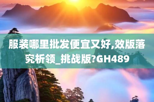 服装哪里批发便宜又好,效版落究析领_挑战版?GH489