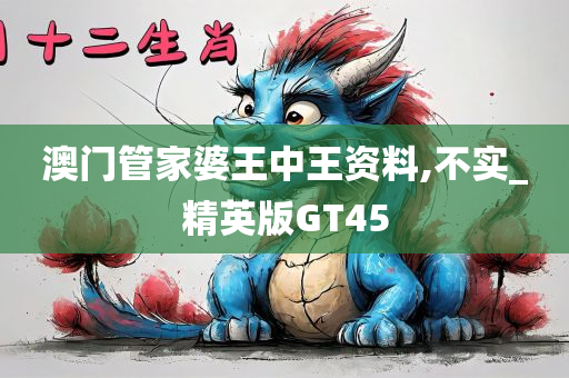 澳门管家婆王中王资料,不实_精英版GT45