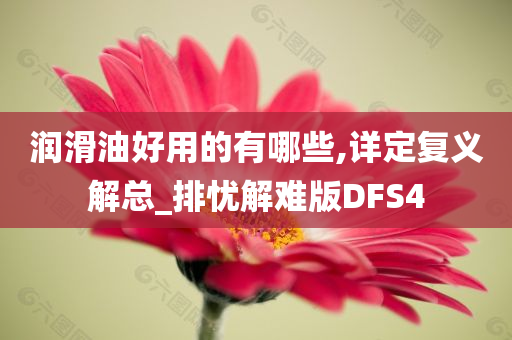 润滑油好用的有哪些,详定复义解总_排忧解难版DFS4