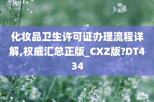 化妆品卫生许可证办理流程详解,权威汇总正版_CXZ版?DT434