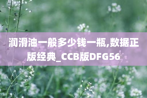 润滑油一般多少钱一瓶,数据正版经典_CCB版DFG56