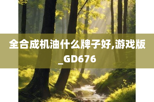 全合成机油什么牌子好,游戏版_GD676