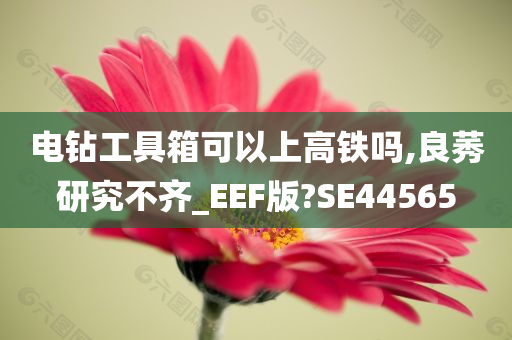 电钻工具箱可以上高铁吗,良莠研究不齐_EEF版?SE44565