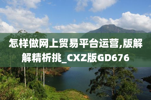 怎样做网上贸易平台运营,版解解精析挑_CXZ版GD676