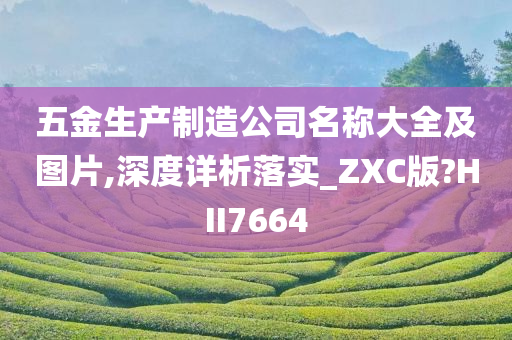 五金生产制造公司名称大全及图片,深度详析落实_ZXC版?HII7664