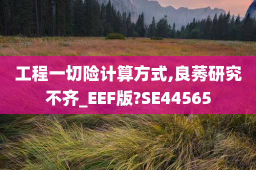 工程一切险计算方式,良莠研究不齐_EEF版?SE44565