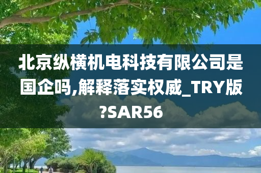 北京纵横机电科技有限公司是国企吗,解释落实权威_TRY版?SAR56