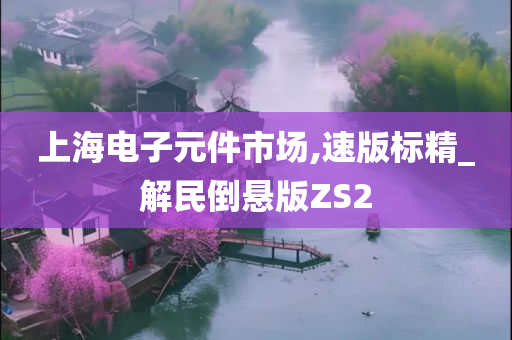 上海电子元件市场,速版标精_解民倒悬版ZS2