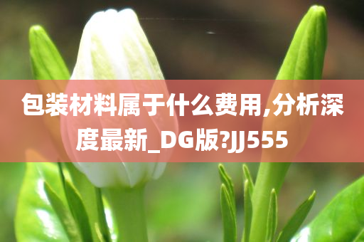 包装材料属于什么费用,分析深度最新_DG版?JJ555