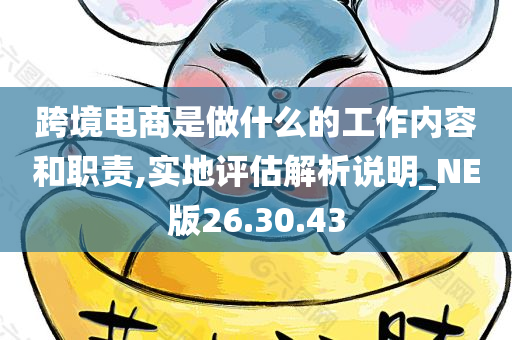 跨境电商是做什么的工作内容和职责,实地评估解析说明_NE版26.30.43