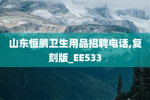 山东恒鹏卫生用品招聘电话,复刻版_EE533