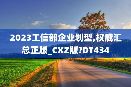 2023工信部企业划型,权威汇总正版_CXZ版?DT434