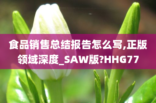 食品销售总结报告怎么写,正版领域深度_SAW版?HHG77