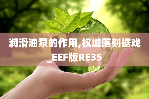 润滑油泵的作用,权域落刻据戏_EEF版RE35