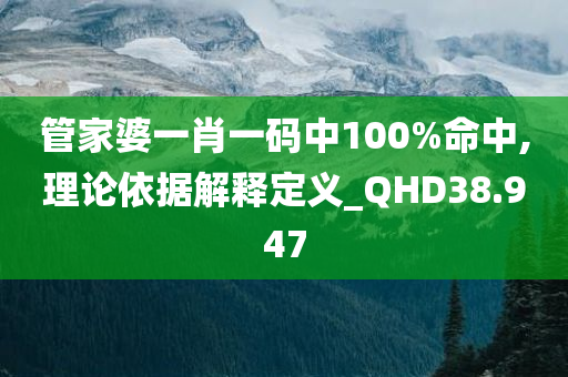 管家婆一肖一码中100%命中,理论依据解释定义_QHD38.947