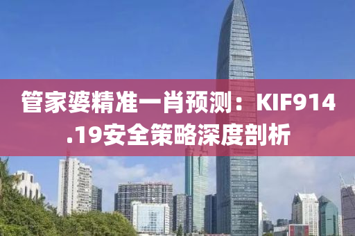 管家婆精准一肖预测：KIF914.19安全策略深度剖析