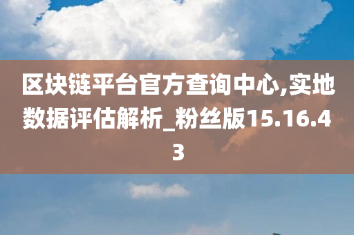 区块链平台官方查询中心,实地数据评估解析_粉丝版15.16.43