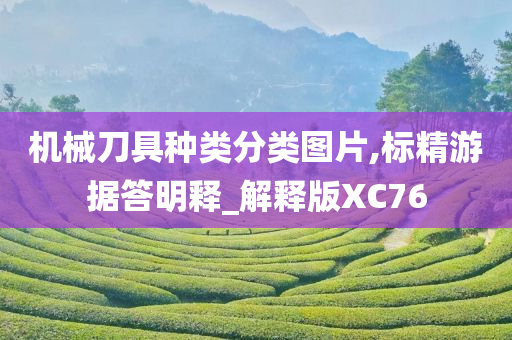 机械刀具种类分类图片,标精游据答明释_解释版XC76