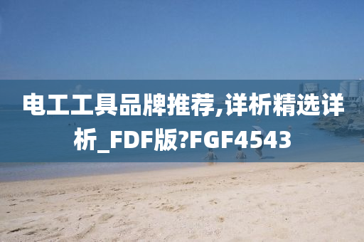 电工工具品牌推荐,详析精选详析_FDF版?FGF4543