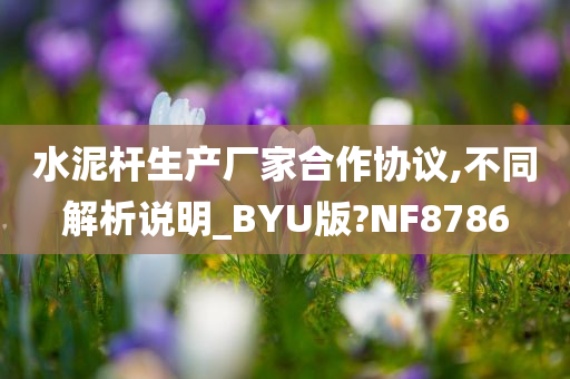 水泥杆生产厂家合作协议,不同解析说明_BYU版?NF8786