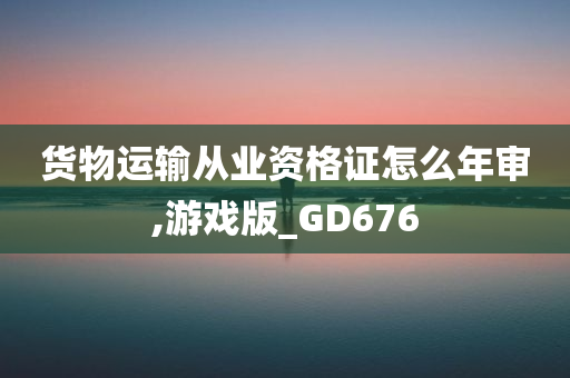 货物运输从业资格证怎么年审,游戏版_GD676