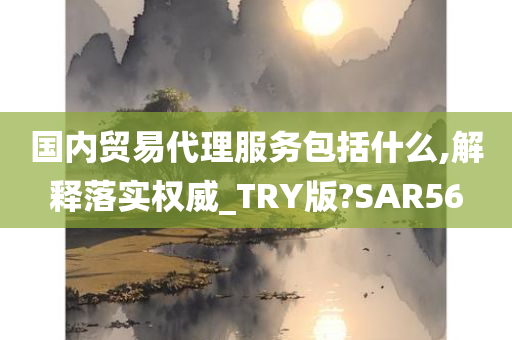 国内贸易代理服务包括什么,解释落实权威_TRY版?SAR56