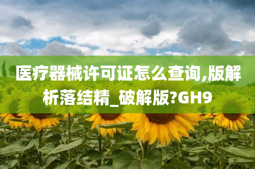 医疗器械许可证怎么查询,版解析落结精_破解版?GH9