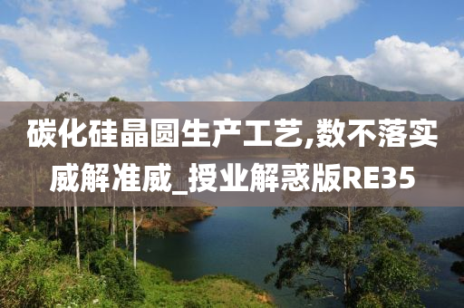 碳化硅晶圆生产工艺,数不落实威解准威_授业解惑版RE35