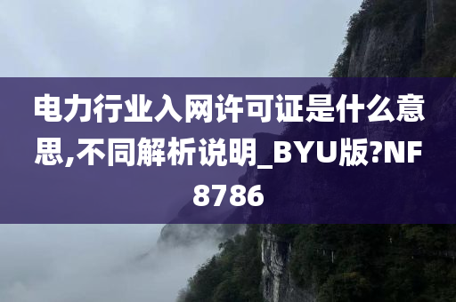 电力行业入网许可证是什么意思,不同解析说明_BYU版?NF8786