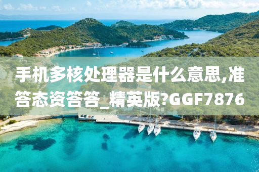 手机多核处理器是什么意思,准答态资答答_精英版?GGF7876