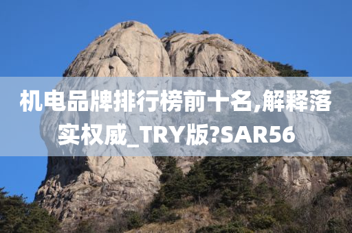 机电品牌排行榜前十名,解释落实权威_TRY版?SAR56