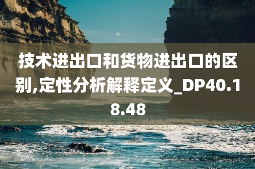 技术进出口和货物进出口的区别,定性分析解释定义_DP40.18.48