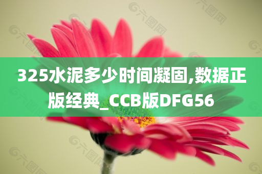 325水泥多少时间凝固,数据正版经典_CCB版DFG56