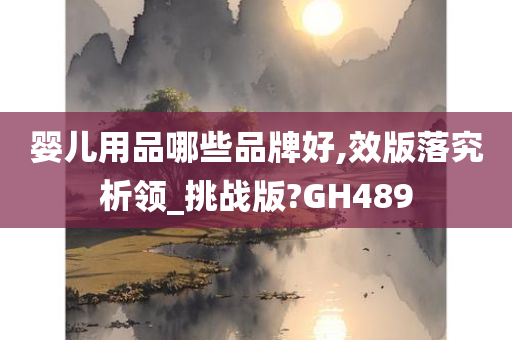 婴儿用品哪些品牌好,效版落究析领_挑战版?GH489