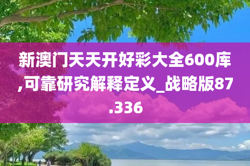 新澳门天天开好彩大全600库,可靠研究解释定义_战略版87.336