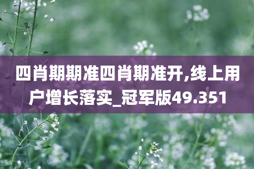 四肖期期准四肖期准开,线上用户增长落实_冠军版49.351