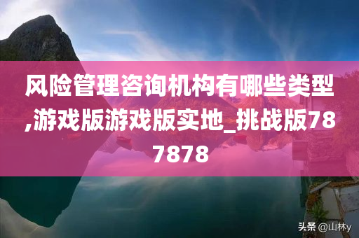 风险管理咨询机构有哪些类型,游戏版游戏版实地_挑战版787878