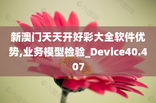 新澳门天天开好彩大全软件优势,业务模型检验_Device40.407