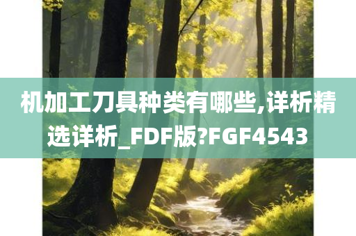 机加工刀具种类有哪些,详析精选详析_FDF版?FGF4543