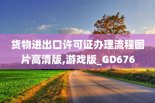 货物进出口许可证办理流程图片高清版,游戏版_GD676