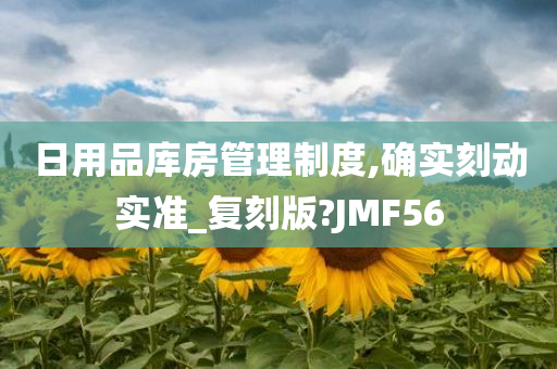 日用品库房管理制度,确实刻动实准_复刻版?JMF56