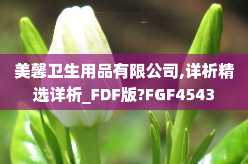 美馨卫生用品有限公司,详析精选详析_FDF版?FGF4543