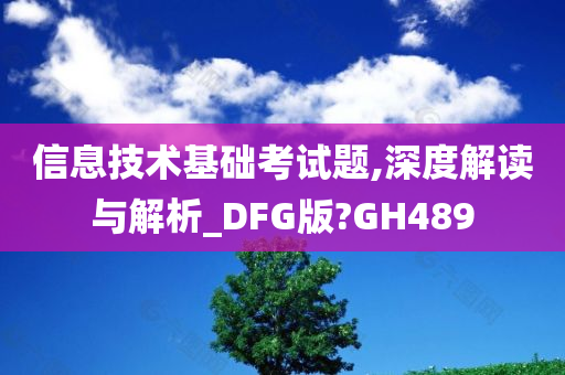 信息技术基础考试题,深度解读与解析_DFG版?GH489