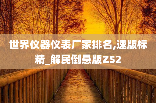 世界仪器仪表厂家排名,速版标精_解民倒悬版ZS2