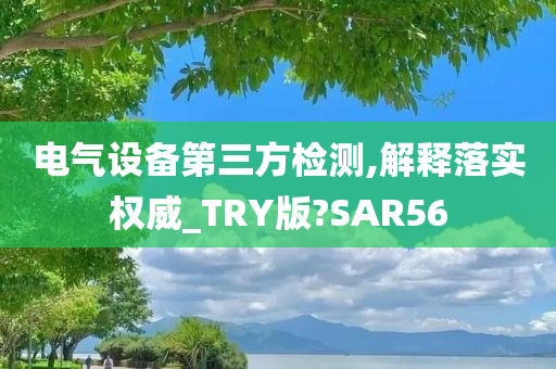 电气设备第三方检测,解释落实权威_TRY版?SAR56