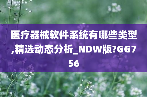 医疗器械软件系统有哪些类型,精选动态分析_NDW版?GG756