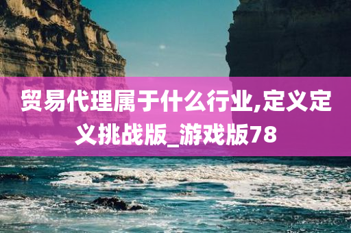 贸易代理属于什么行业,定义定义挑战版_游戏版78