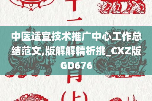 中医适宜技术推广中心工作总结范文,版解解精析挑_CXZ版GD676