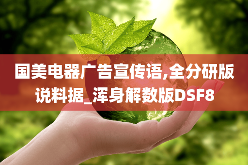 国美电器广告宣传语,全分研版说料据_浑身解数版DSF8